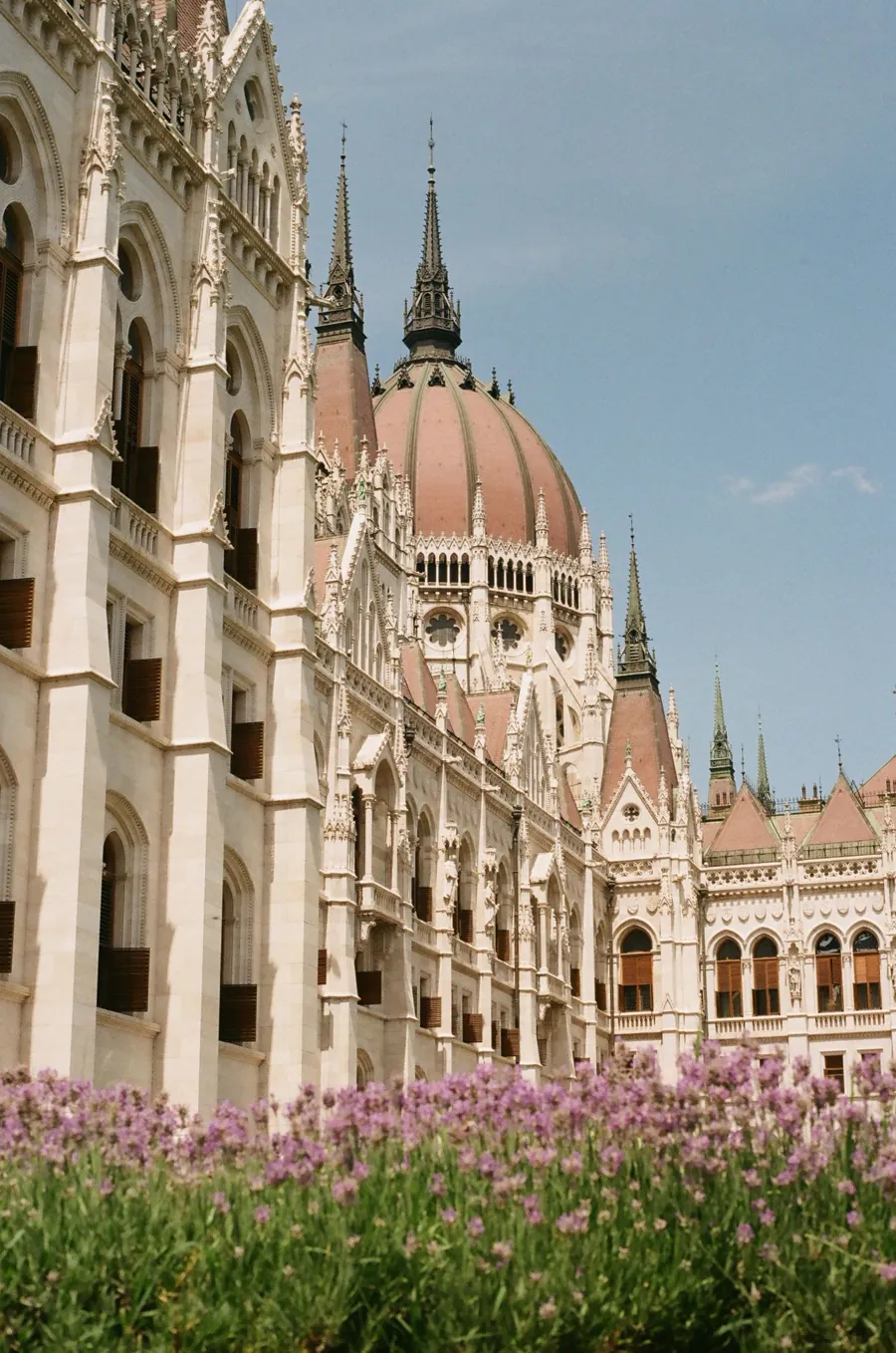 Il Parlamento di Budapest con fiori in primo piano